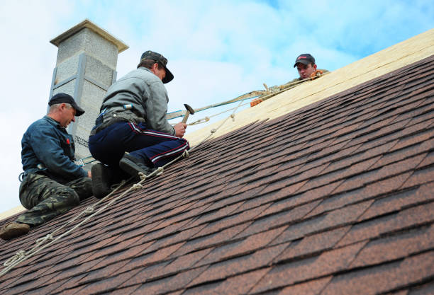 Best Metal Roofing Contractor  in Joshua Tree, CA